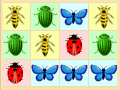 insects